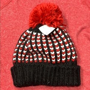 NWT fleeced lined hat